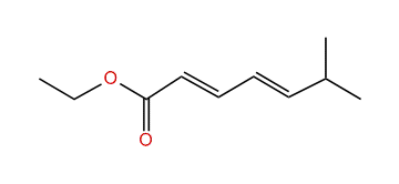 Ethyl (E,E)-6-methyl-2,4-heptadienoate